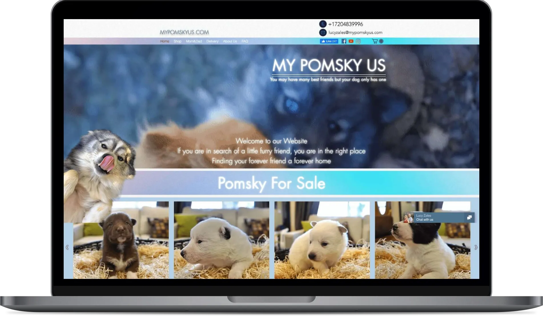 Website project by Star Web Design